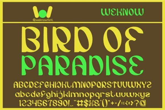 Bird of Paradise: A Display Font That Commands Attention